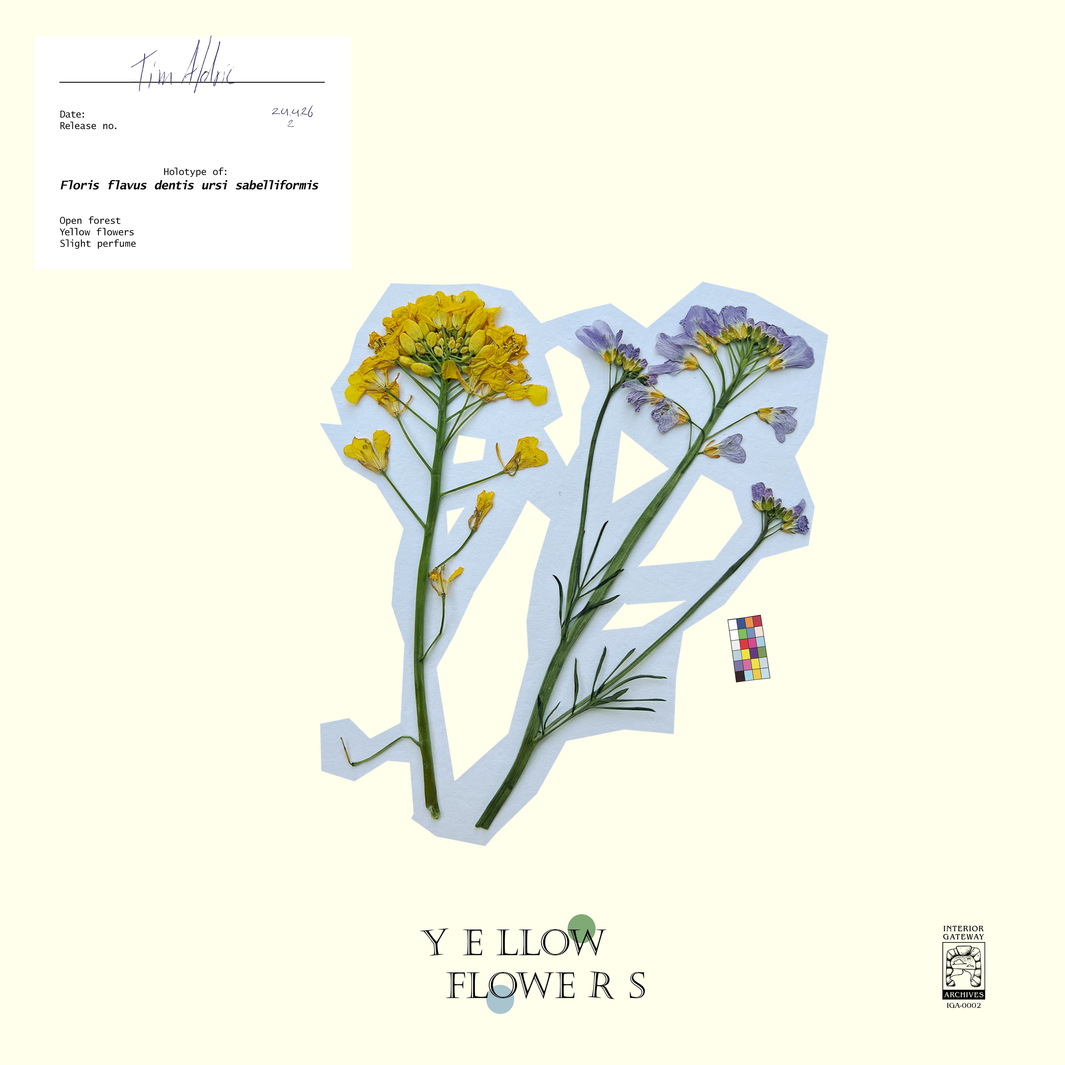 Cover art for Yellow Flowers